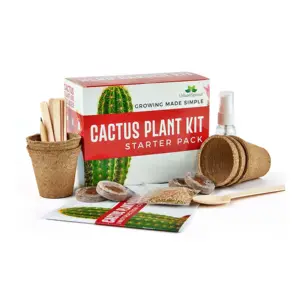 Großhandel USDA-Zertifikat Kaktus glas Diy Plants cactus Grow Kit All-in-One-Glas-Kit für Mini-Ökosystem Kaktus pflanze nach Hause