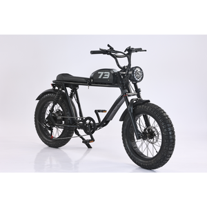 Bicicleta Eléctrica Urbana de 500W con Motor Trasero sin Escobillas, Batería de Litio de 48V 20AH, Neumático Grueso de 20 Pulgadas, 6 Velocidades, Cuadro de Hierro, Modelo JYOP-6 Urban E - Product Image 4