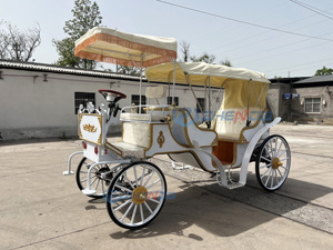 High Configuration Electric Sightseeing Horse Carriage Cart <b>Double</b>-row White Sightseeing Carriage Royal Wedding Horse Carriage - Product Image 5