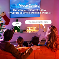 Bilihondim Boîtier numérique intelligent Zigbee RGB 1 canal 200W DMX512 sans fil portée 30m Google Assistant LED-App Plastique