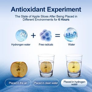 Générateur d'eau à hydrogène à usage de bouteille Le générateur d'eau à hydrogène utilise SPE avancée et PEM sur 1500 Ppb Eau à hydrogène inodore - Product Image 5