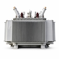 Transformateur de distribution triphasé immergé dans l'huile à enroulement en cuivre S11 80 kVA 10 kV/0,4 kV pour réseau urbain