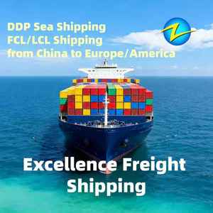 Manejo Seguro de Carga, Envío Consolidado por Mar DDP DDU Qinhuangdao Dalian Dandong a Cuernavaca Culiacán Cabo <span class=keywords><strong>San</strong></span> <span class=keywords><strong>Lucas</strong></span> - Product Image 6