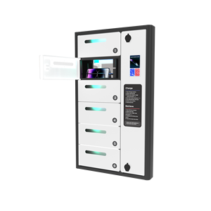 Y2 Power <span class=keywords><strong>ZEN</strong></span>, casier de recharge pour télé<span class=keywords><strong>phone</strong></span> portable mural extérieur à 6 baies, optionnel pour paiement par carte de crédit et écran publicitaire - Product Image 2