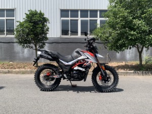 Motocyclettes chinoises FUEGO <span class=keywords><strong>TEKKEN</strong></span> <span class=keywords><strong>2</strong></span> Eec Motocyclette pas chère à vendre <span class=keywords><strong>TEKKEN</strong></span> II 22110105 - Product Image 5