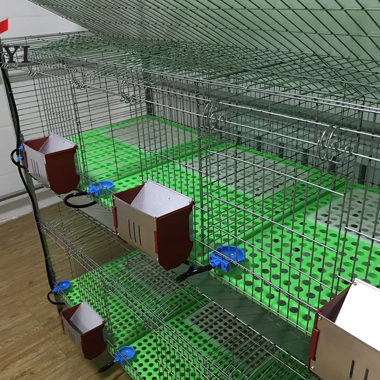 Conception moderne de clapier extérieur d'intérieur fait en usine pour le lapin industriel