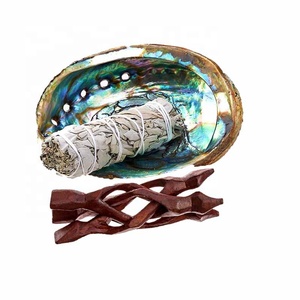 Amazon Hot Selling Mexico Abalone Shell Cleaning Ritual Tools Ridding Negative Power