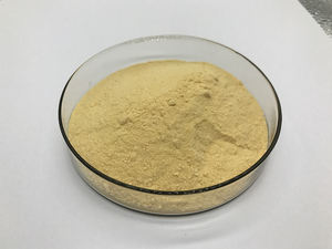 Großhandel Wettbewerbsfähiger Preis Lebensmittelqualität Aminosäure L-Lysin Pulver in Großmengen - Product Image 4