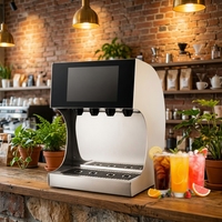 Distributeur Commercial de Jus de Fruits Gazeux en Gros – Équipement Professionnel pour Boissons Pétillantes pour Restaurants et Magasins