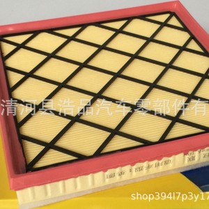 Filtro de aire 2240480 5183030 5243186 DS73-9601-AC para uso automotriz - Product Image 3