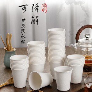 Vasos desechables de pulpa de caña de azúcar de 201-300 ml, compostables, para bebidas calientes, uso doméstico y de oficina - Product Image 1