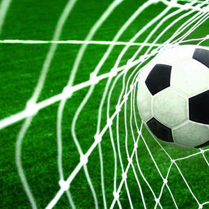 1.5M * 3 M Nhựa Lưới An Toàn <span class=keywords><strong>Net</strong></span> Thể Thao Trampoline Với An Toàn <span class=keywords><strong>Net</strong></span> Ladder Crane - Product Image 5