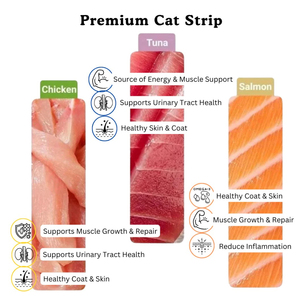 Proveedor OEM de alimentos para mascotas personalizado al por mayor 15g comida para mascotas salmón atún <span class=keywords><strong>pollo</strong></span> ternera gato tratar comida húmeda gato gatito tiras Snack - Product Image 6