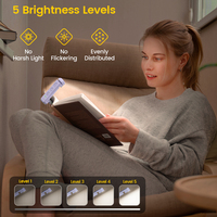 Lampe de lecture LED portable rechargeable USB-A 500 mAh avec batterie au lithium, mini marque-page à clipser, certifiée CE pour lit – Commande en gros