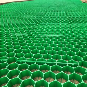 Griglia per <span class=keywords><strong>Pavimentazione</strong></span> in HDPE su Misura, Griglia Permeabile per Drenaggio, per Garage Sotterranei e Aree Verdi - Product Image 1