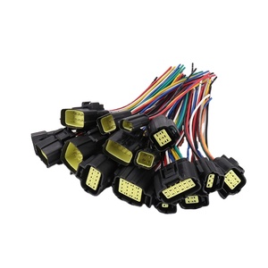 汽车连接器公头和母头插头，用于汽车线束 DJ70216Y-1.8-21/11 黑色外壳 2 针温度传感器线束 - Product Image 1