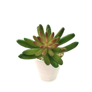 Planta Artificial de Simulación de <span class=keywords><strong>Suculenta</strong></span> de 11 cm, Duradera, Ecológica, de Alta Simulación, Planta de Plátano, Hermosa Decoración Floral - Product Image 1