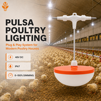 Lampu LED DC 48V Plug and Play untuk Peternakan Unggas, Pemasangan Mudah, Tahan Air, untuk Peningkatan Kandang Ayam