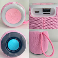 Subwoofer portable mini B22 populaire pour fêtes à domicile, compatible avec les enceintes V5.3, autonomie de 3 à 5 heures, compatible avec les ordinateurs/téléphones
