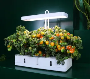 Ngón tay tăng trưởng thực vật đèn nảy mầm Kit J & C minigarden gelulv-hydroponics thiết kế điện áp thấp màu xanh lá cây đen tối giản trong nhà