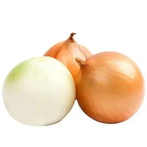 China Onion Prices In Bulk Yellow Holland Onions And India Onion