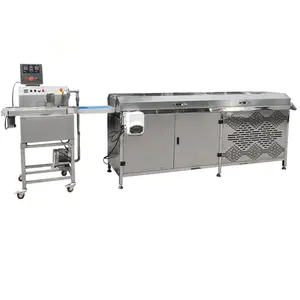 Raspberry Strawberry Coated Freezze Dried Fruit Mini Chocolate Coating Machine 60kg With Conveyor For Enrobing And Cooling Line