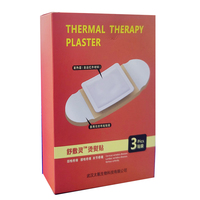 BT Medica 2024 Meilleure vente Application corporelle chinoise Plâtres médicaux Produit tendance chaud