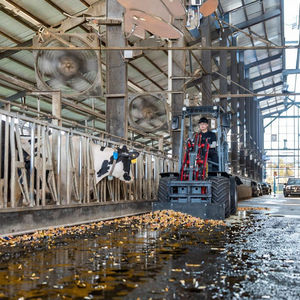 Diskon Penawaran Waktu Terbatas menawarkan pemuat Mini Tiongkok untuk petani dan lanskap hemat anggaran dengan sertifikasi kualitas - Product Image 1