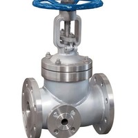 Válvula de Compuerta de Hierro Dúctil de Alta Calidad con Vástago Fijo y Sello Suave para Agua y Aceite con Acero Inoxidable 304