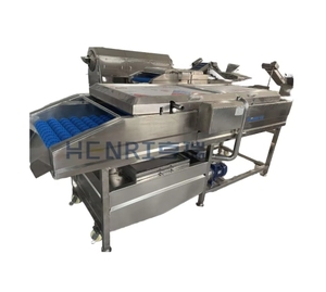 Bán hàng nóng hoàn toàn tự động thương mại mai, ngày đỏ, cà chua, trái cây bàn chải phun làm sạch máy - Product Image 1