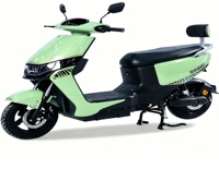 Moto électrique dynamique de marque YT, pneu tubeless 11-30, 1000W 60V, écran LCD, roue de 11 pouces avec frein à disque, cyclomoteur adulte 55km/h