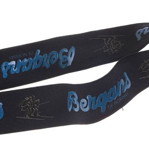 Elastic Custom Printed <b>Webbing</b> Nylon Belt with Custom Logo Eco-Friendly Oeko-Tex Certified - Product Image 6