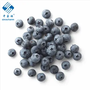 Wild kultivierte IQF Frozen Organic Blueberry