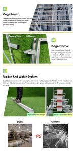 Sistema de Bebida para Aves, <span class=keywords><strong>Jaula</strong></span> de Alimentación para Aves de Corral, Batería Automática, 96/120/128/160 - Product Image 4