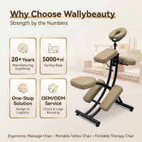 Chaise de massage ergonomique portable pliable, chaise de tatouage avec appui-tête réglable, mousse haute densité, équipement de spa