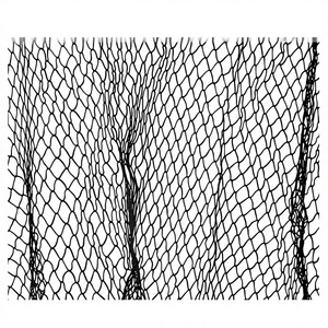 <span class=keywords><strong>Red</strong></span> de pesca <span class=keywords><strong>cuadrada</strong></span> sin nudos de PP de alta calidad, sin overlock - Product Image 1