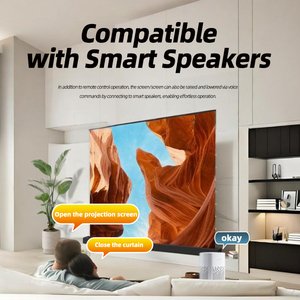 Màn hình nâng điện đứng sàn 16:9 màn hình chiếu mềm PVC Trắng cầm tay độ nét cao 4K - Product Image 2