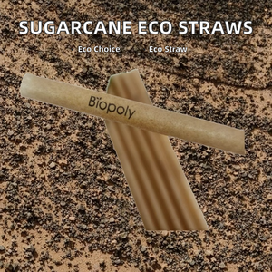 BIOPOLY Sugarcane Fiber <b>Disposable</b> <b>Straws</b> Eco-Friendly Biodegradable Camping Use 200mm Alternative to Plastic and Paper - Product Image 2