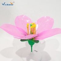 Modèle anatomique de fleur de pêcher, matériau PVC, affichage de la structure florale, enseignement en classe de biologie SGS CE ROHS