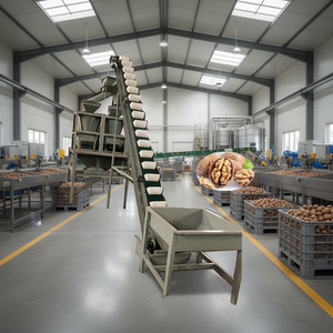 <span class=keywords><strong>Machine</strong></span> à casser les <span class=keywords><strong>noix</strong></span> de pécan et les <span class=keywords><strong>noix</strong></span>, capacité 500 kg/h - Product Image 4