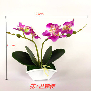 Planta Artificial de Orquídea Phalaenopsis Qi Xing de 20 cm en Maceta, Decoración Floral para Interiores - Product Image 1