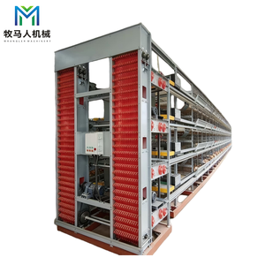 맞춤형 대용량 산업용 대규모 자동 신형 H형 상업용 닭장 수출 농장 프로젝트 - Product Image 1