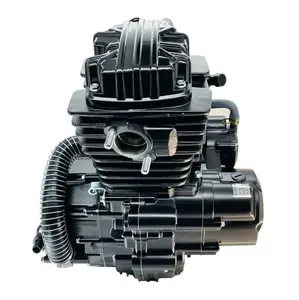 Factory Outlet Motorcycle & Tricycle Engine CG300 Water-cooling Engine 300cc Motorcycle Engine for Sale