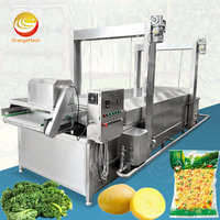 ORME Groothandel Banaan Aardappelchips Kippenpootjes Batch Blancher Pinda Noten Amandel Wortel Blancheringsmachine