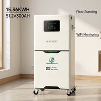 Batterie de stockage d'énergie domestique LiFePO4 JFT 16077-E-2, hors réseau, 51,2 V, 314 Ah, 16,1 kWh, courant maximal 200 A, 6000 cycles, 80 % DOD, IP65