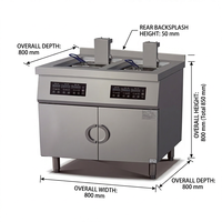 Friteuse Commerciale Verticale Électrique à Induction avec Levage Automatique, Filtration d'Huile Automatique, Chauffage par Convection Double Carburant, Économe en Énergie