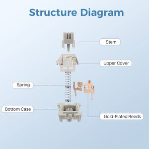 HZGAMER Graywood V3 Set d'interrupteurs pour claviers mécaniques, Linéaire, 40g, 3 Pins Mechanical <span class=keywords><strong>Keyboard</strong></span> Switch - Product Image 3