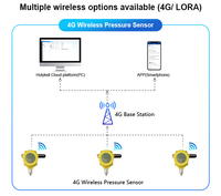 GPS Tracking Fuel Liquid Remote 4G LoRa Alarme sans fil Capteur de niveau de réservoir d'eau Système de surveillance