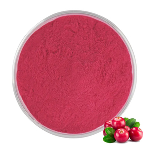 Hongda Hot Sell antocianinas 5%-35% Bulk Boldo Extrato Em Pó - Product Image 3
