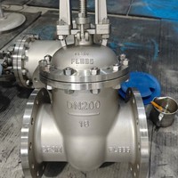 Válvula de Compuerta de Alta Calidad, Acero Inoxidable 316L, 8 Pulgadas DN200 Clase 150, con Brida, API 600